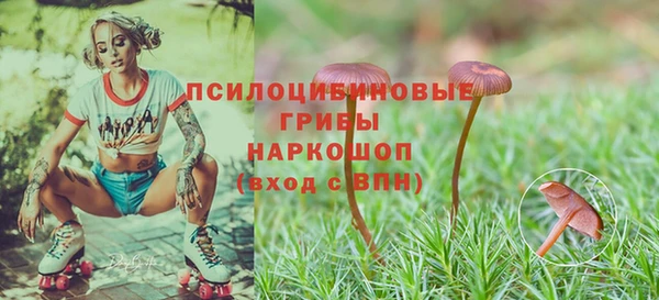 мяу мяу мука Медногорск