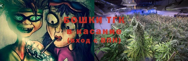 прущие крисы Мегион