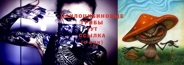 мяу мяу мука Медногорск