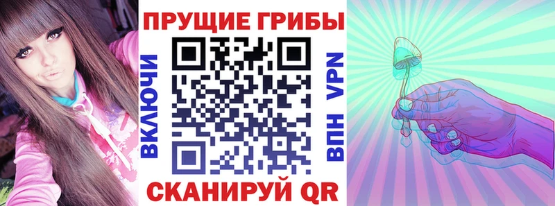где продают наркотики Чухлома Галлюциногенные грибы GOLDEN TEACHER
